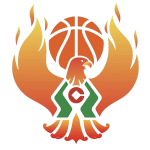 https://img.geliweix.com/img/basketball/team/09b49d34027e0409a4de3295f8c71a2d.png