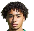 https://img.geliweix.com/img/football/player/347a6d58ae7ec0425a4d42bc9215c411.png